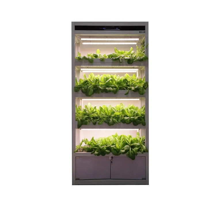 Mobile Intelligent Control Tomato Seed Planter Machine Lettuce Hydroponic Growing Systems