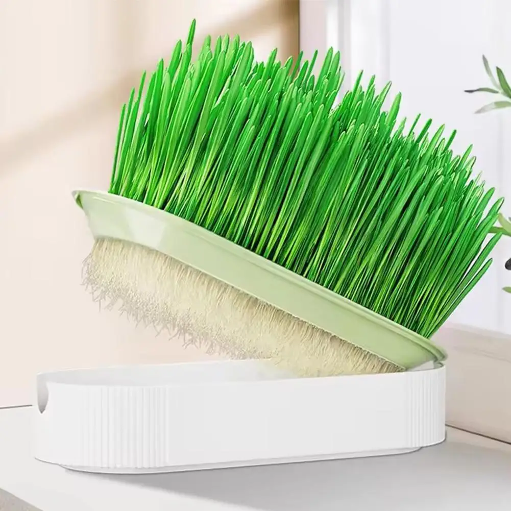 Pet Cat Grass Digestion Growing Tray Starter Dish Greenhouse Hydroponics Plant Cat Grass Germination Nursery Pot Grow Box