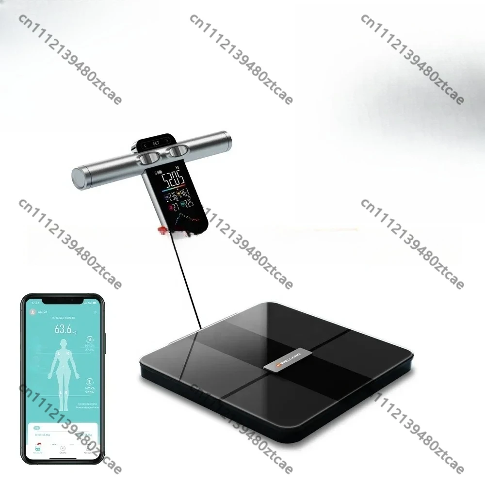 Colorful VA Display Smart Body Scale, Heart Rate Monitoring Full Body Composition Digital Weighing Scale with Smart App Health
