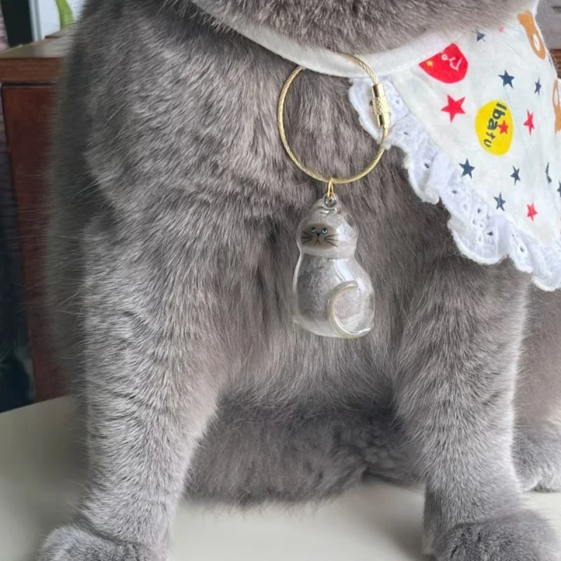 2 шт., прозрачная коробка для хранения из кошачьего меха, кулон, капсула из кошачьей шерсти, памятная коллекция, сумка, подвеска, брелок, аксессуары для кошек