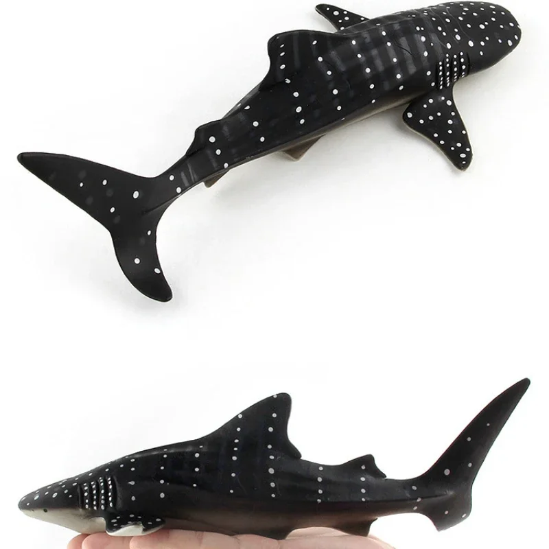 Figuras de acción de ballenas azules fragantes y organismos marinos en miniatura, modelo educativo de ballena, juguetes de decoración para niños