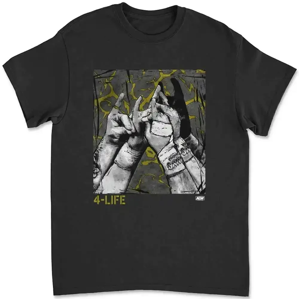 Aew - All Elite Wre…