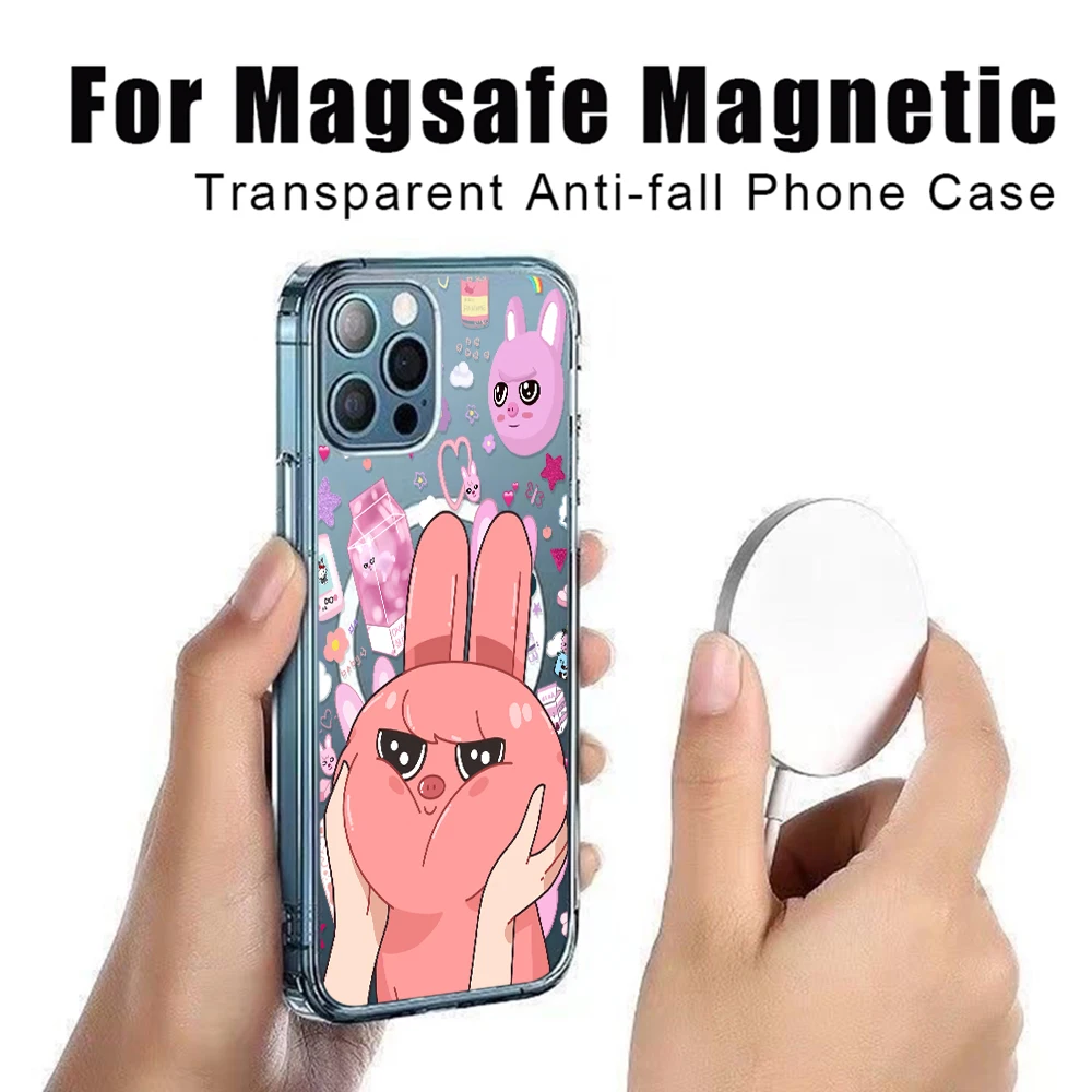 Cartoon K-Kids Strays For Magesafe Magnetic Phone Case for iPhone 17 Air 16 15 14 Plus 13 12 11 Pro Max Clear Cover view 4
