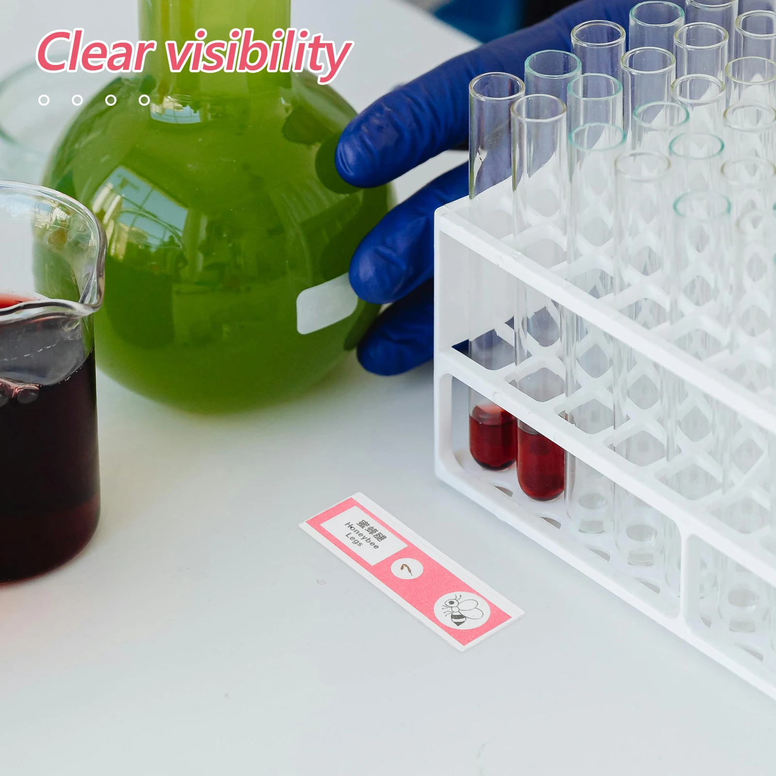 

12 Pcs Biological Sample Sections Blood Microscope Slides Animal Insect Assortment Child