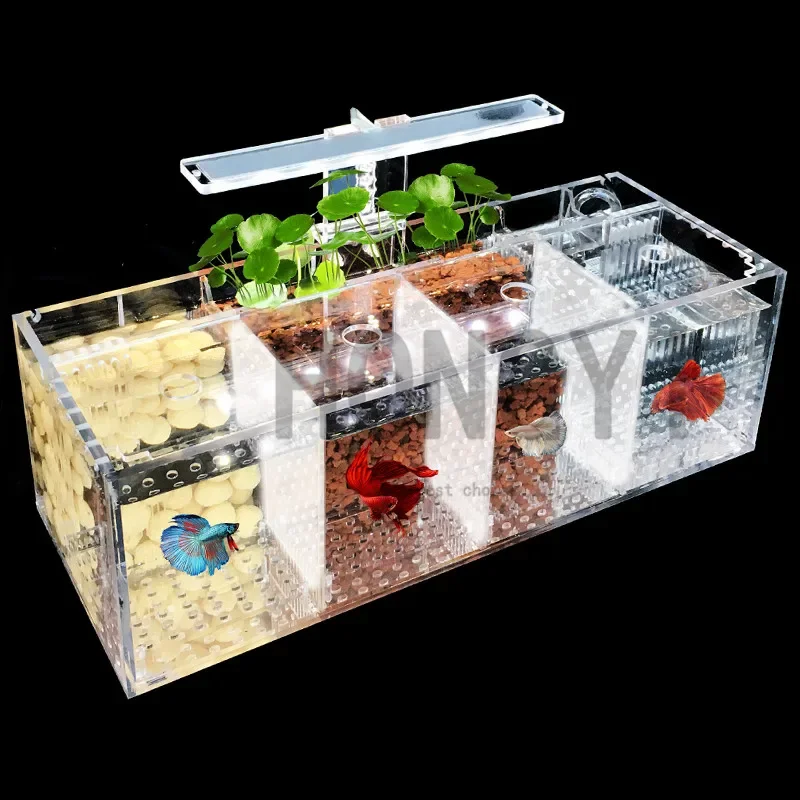 HONGYI 1 piece acrylic bettas cylinder isolated fish tank tilted water pump breeding cylinder baby betta tank guppy breeding