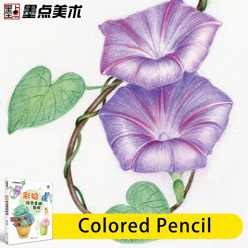 

Art Book Coloured Pencil Drawings with Color Pencil Comprehensive Basic Adult Course Practice and Learn Painting Textbook