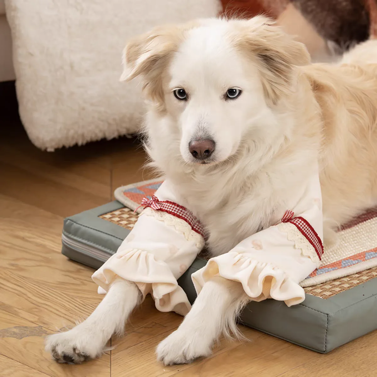 

Теплые бархатные накладки на локти для собак крупных пород: золотистый ретривер, бордер-колли