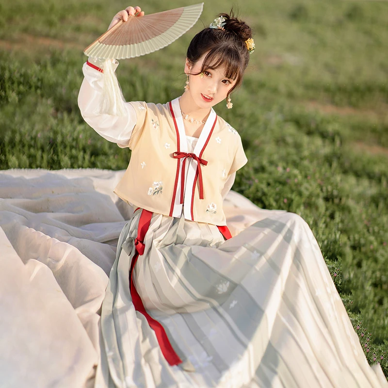 Falda de hada Hanfu de la dinastía Song para mujer, ropa tradicional China para mujer, vestido de princesa, espectáculo de escenario, Cosplay