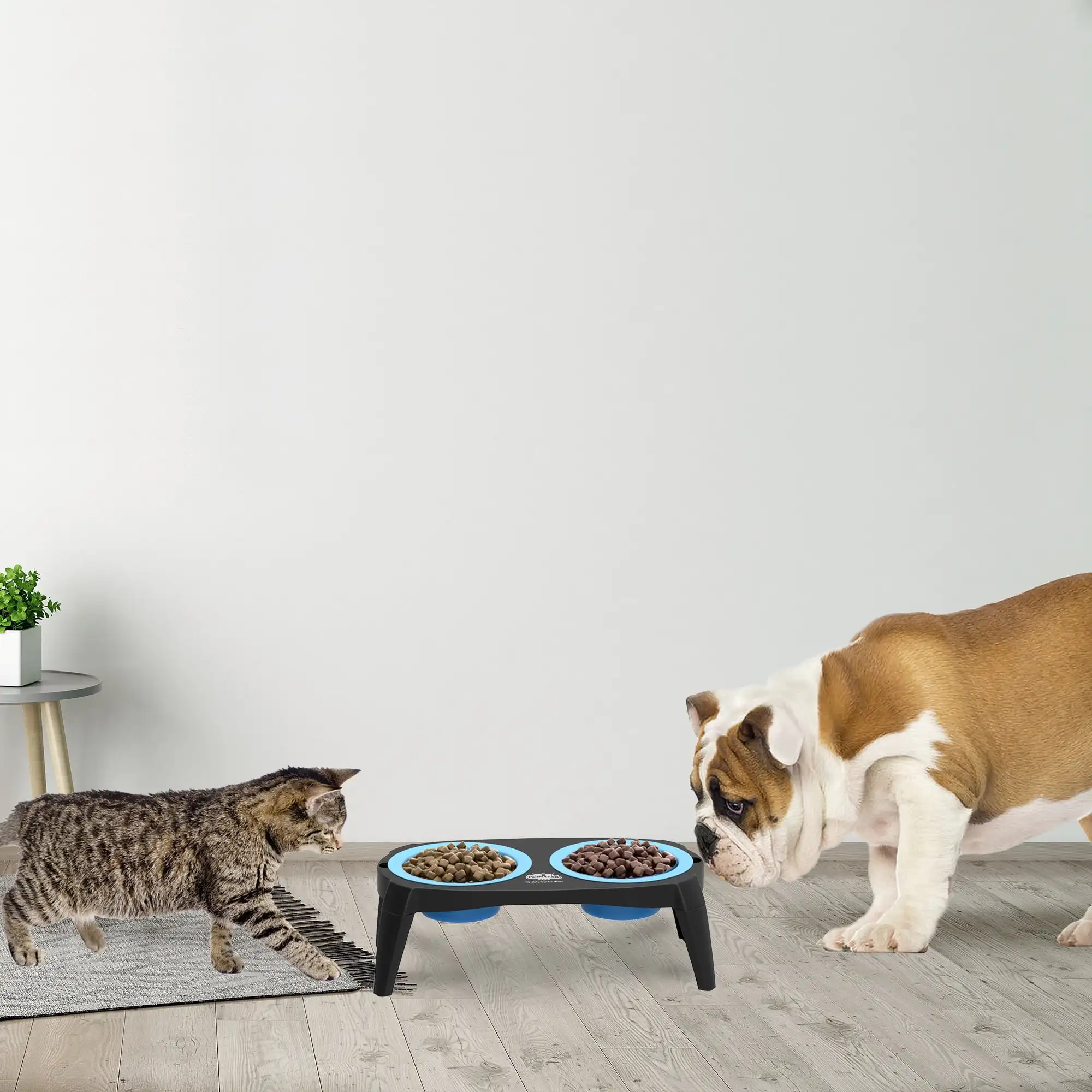 

Elevated Pet Bowls with Nonslip Stand for Dog/Cat Food and Water