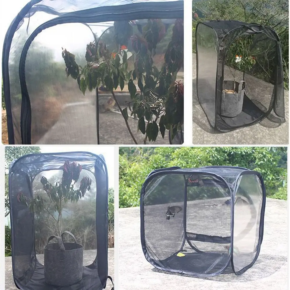 New Black Butterfly Habitat Collapsible Pop-up Sunroom Outdoor Practical Insect Cage