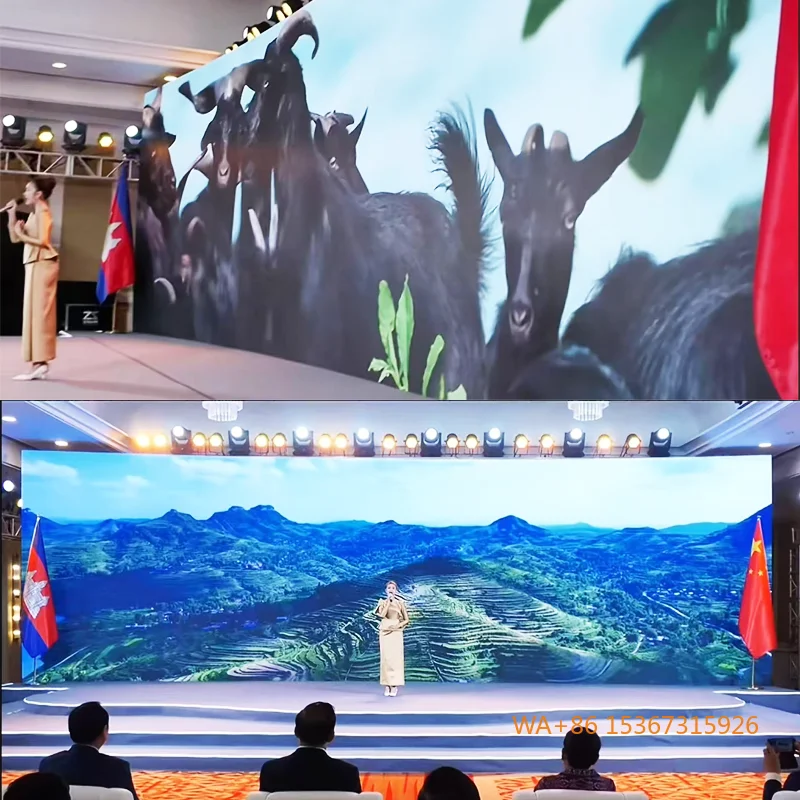 

P3.91 Outdoor Food Festival LED Rental Cabinet Promotion Display