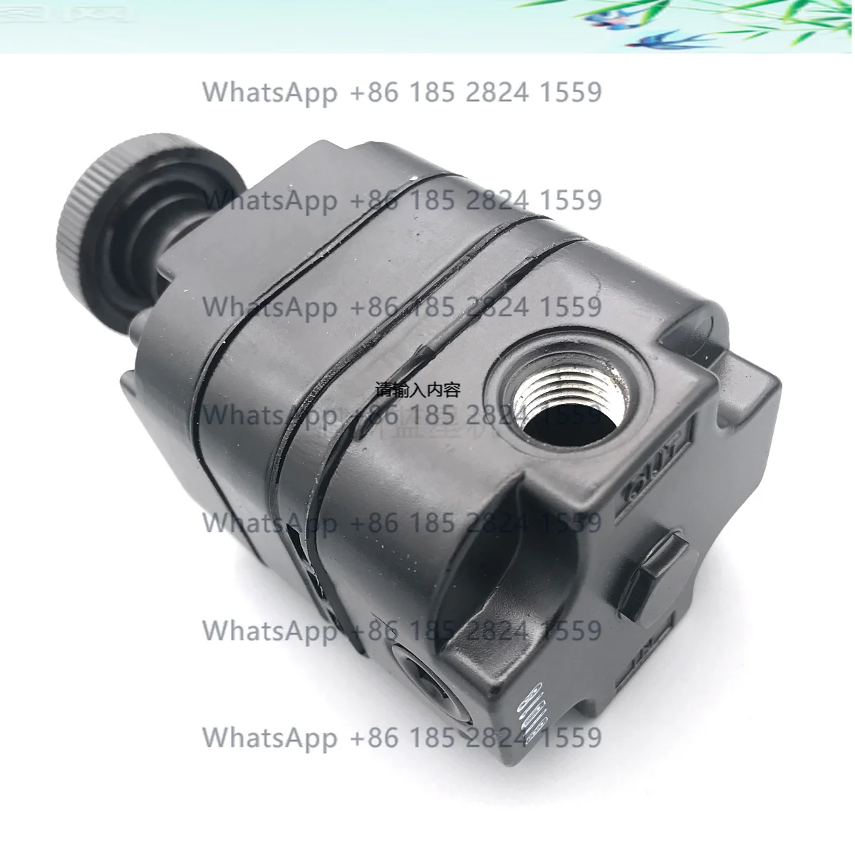 

BELLOFRAM TYPE-10 2~120PSI Black Precision Pressure Reducing Valve 962-191-000