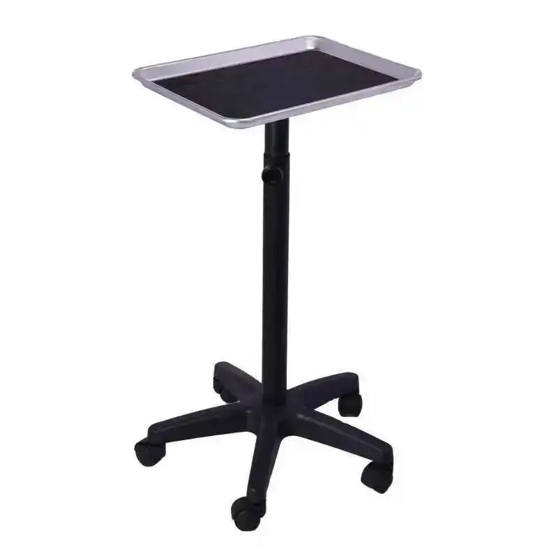 

Aesthetic Trolley Professional Wheels Manicure Beautician Medical Makeup Box Auxiliary Salonkivaunu Cart Beauty Salon Simplicity
