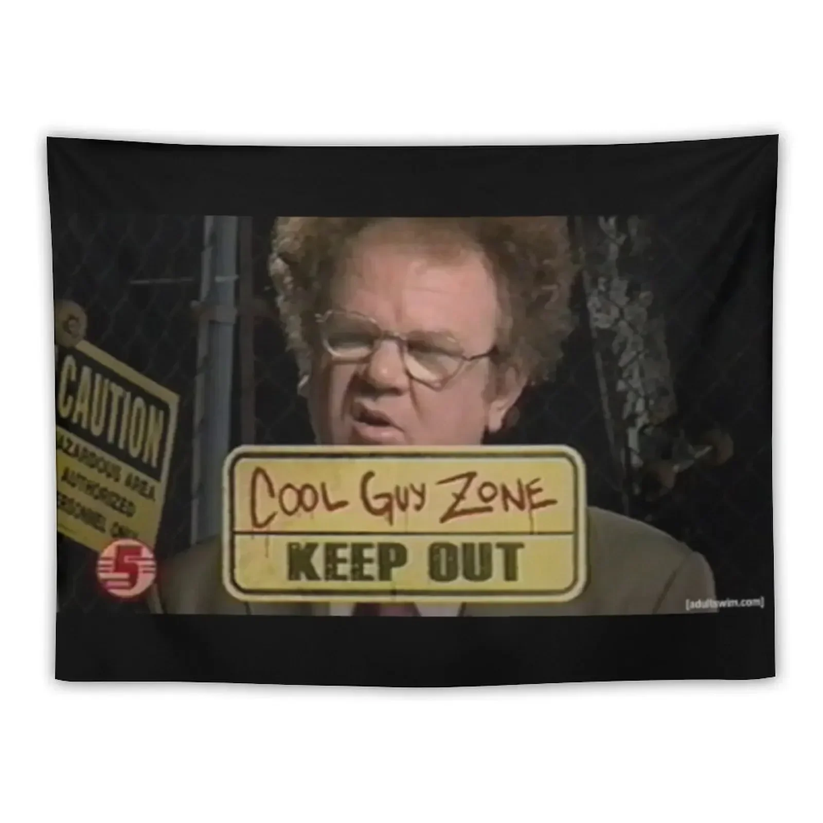 

dr steve brule cool guy zone Tapestry Decoration Aesthetic Decoration Room House Decor Wallpaper Tapestry