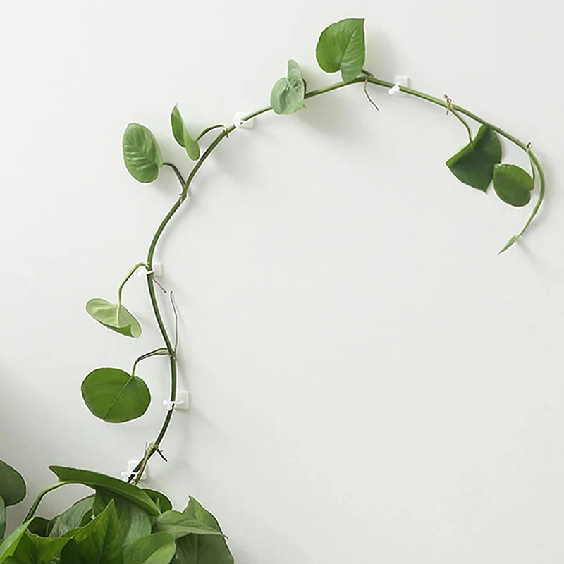 20pcs Home Garden Plant Climbing Wall Fixture Clips Rattan Vine Fixer Self-Adhesive Plant Climbing Wall Fixed Buckle Hook