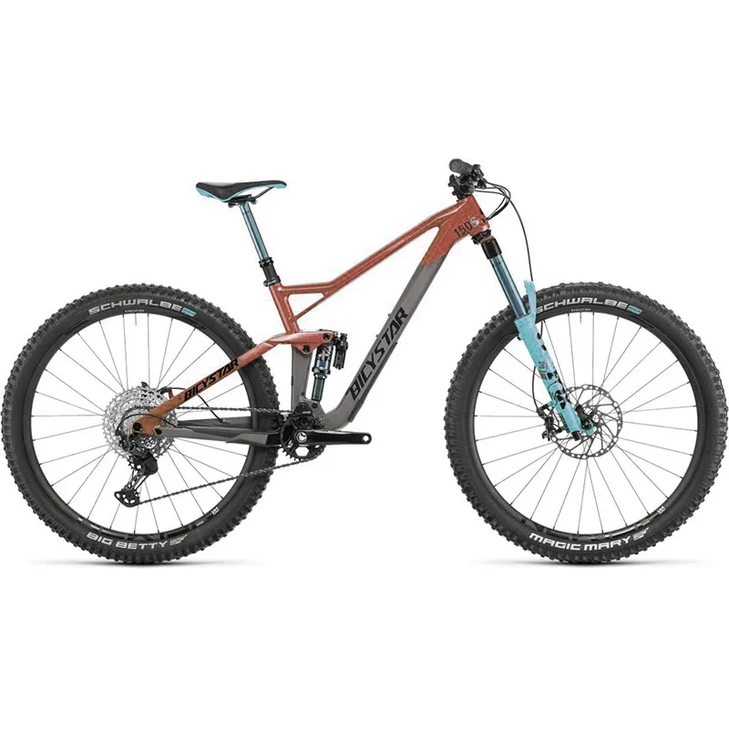 Bicicleta de montanha variável de 10 velocidades para adultos, MTB Carbon Frame, 29er Full Suspension Bike, Suspensão completa, Novo, 12 velocidades