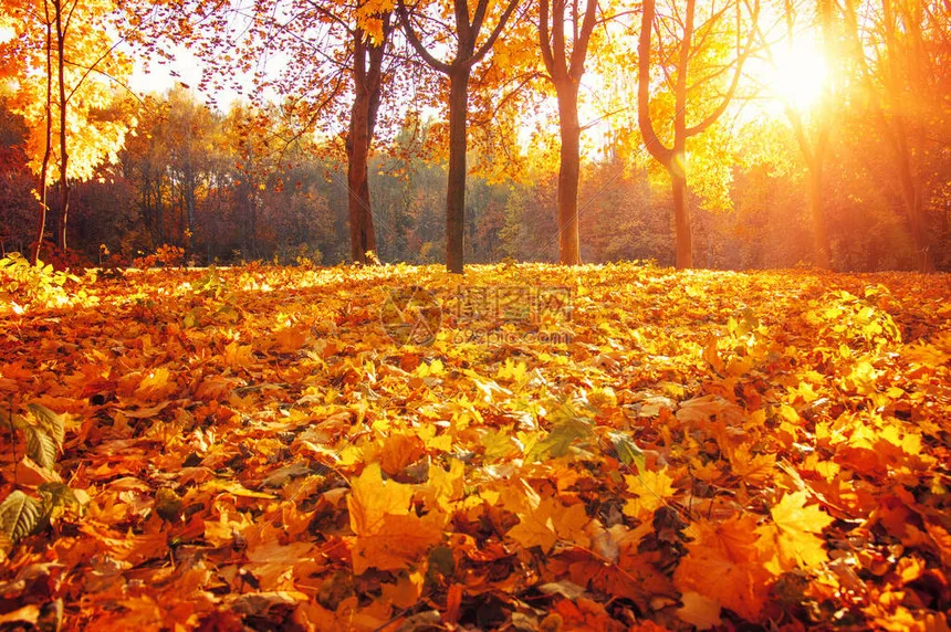 2Pcs Steel Steering…