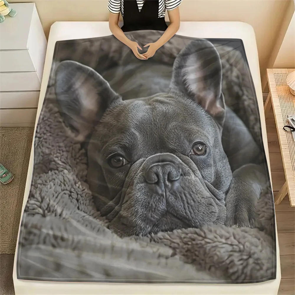 French Bulldog - 3D Digital Printed Blanket, Small Throw Blanket - Nap Sofa Blanket, Air Conditioning Blanket. Outdoor Blanket -