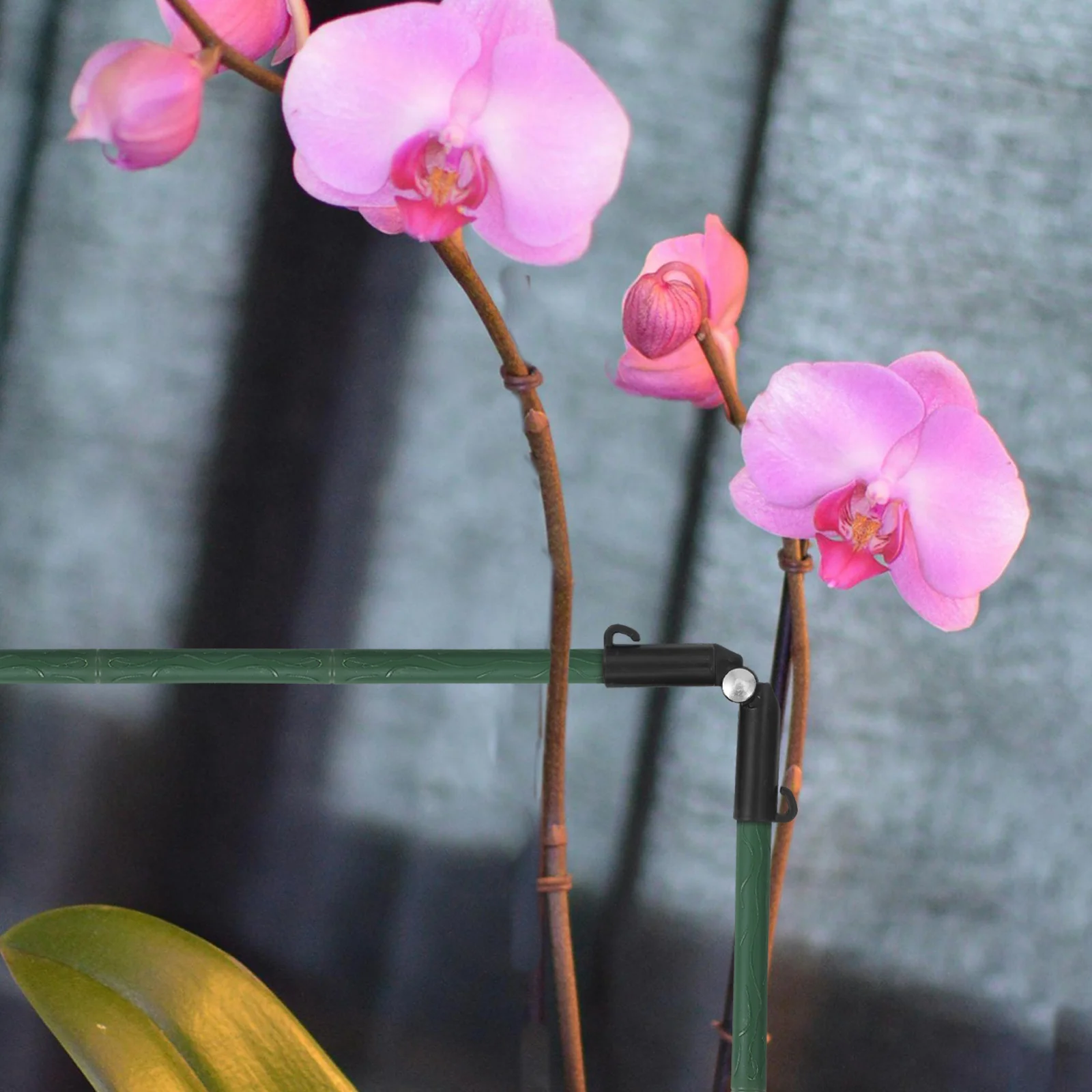 

10 шт. регулируемые пластиковые соединительные зажимы для растений для устойчивых рамок теплиц и вьющихся растений, поддержка пряжки разъема B-типа