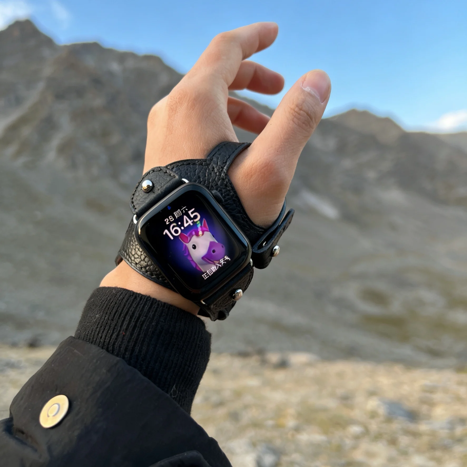 AliExpress dalan Exclusive Sports Cycling outdoor strap Leather loop For Apple Watch band men women Series 11/10/9 40mm 41mm 42mm 44mm 45mm 46mm