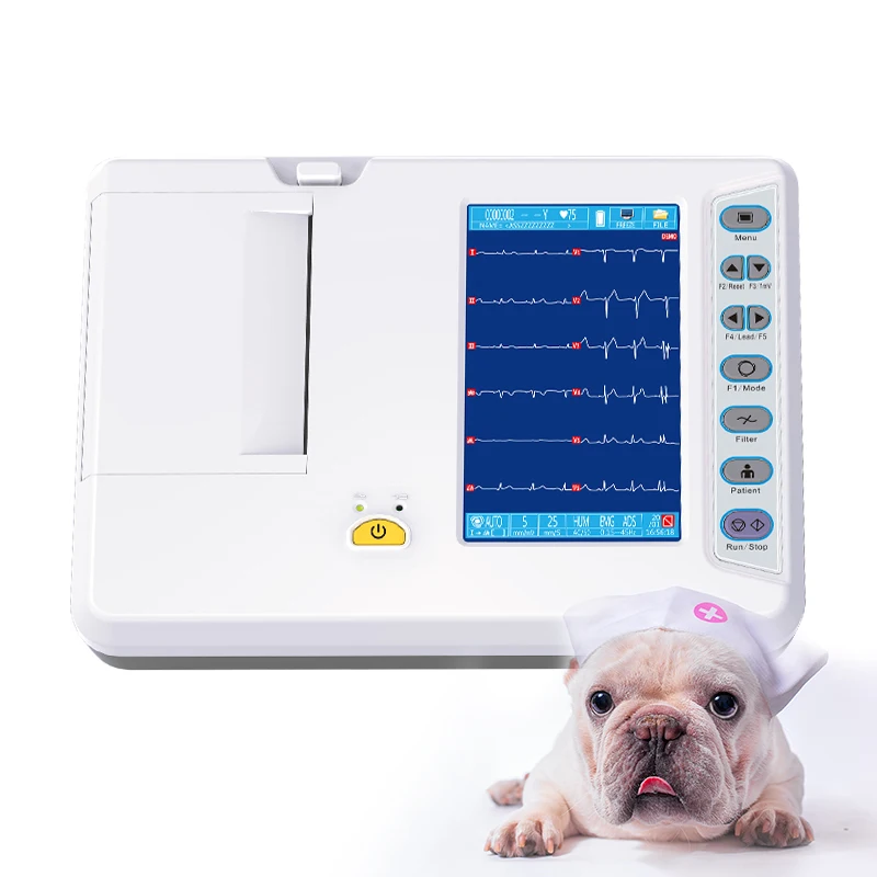 Digital Animal ECG Machine Ro-Chain Pet Hospital Veterinary ECG Machine 7 Inch Color Touch Screen Auto Analysis 7 Leads