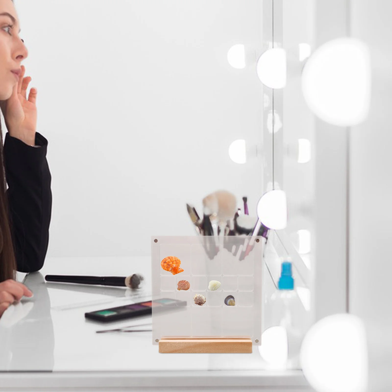 

Sophisticated Acrylic Display Box Seashell Shape Storage Organizer for Jewelry Specimens Small Collectibles Seashell Display Box