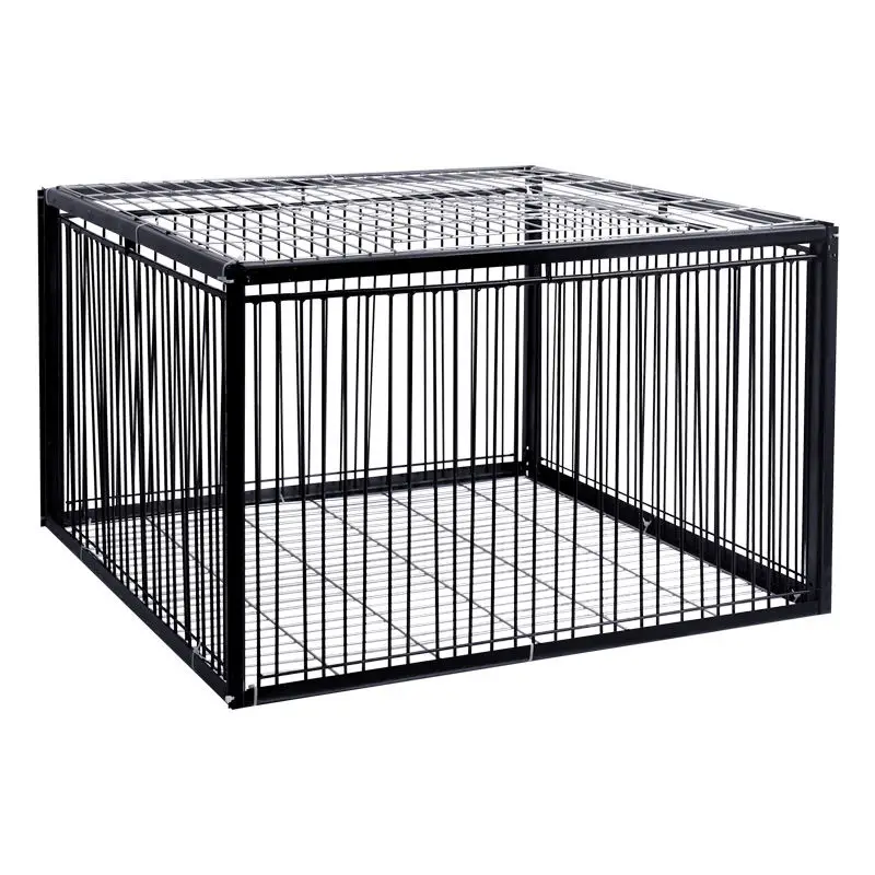 Foldable Galvanized Pigeon Bird Trap Cage Wild Pigeon Humanitarian Way with One-Way Entrance Pigeon in Cage