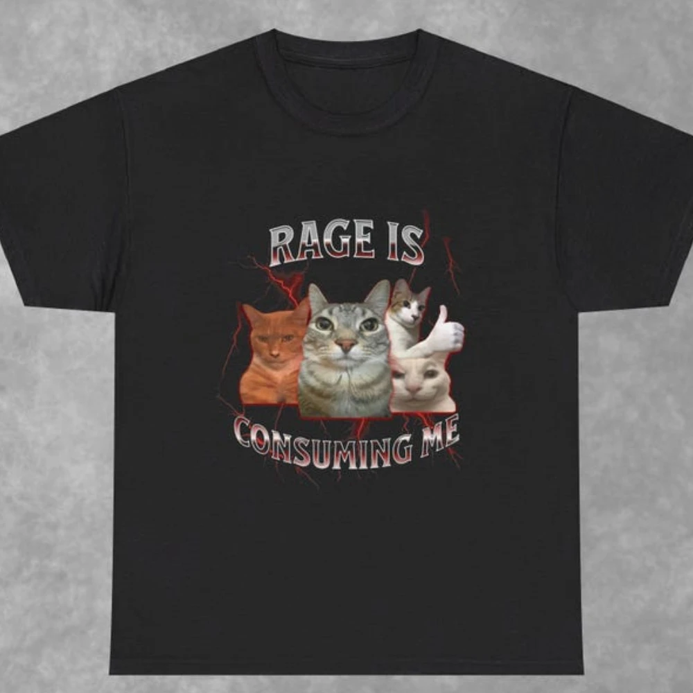 Rage Is Consuming Me Print T-Shirt Cat Funny Graphic T Shirts for Friends Baggy Shirt Meme Shirts Y2k Vintage 90s Ironic Tops