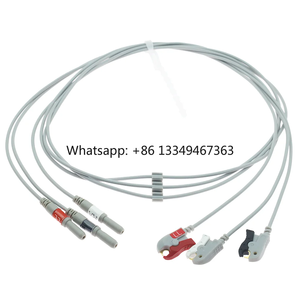 Fast Shipping Compa…