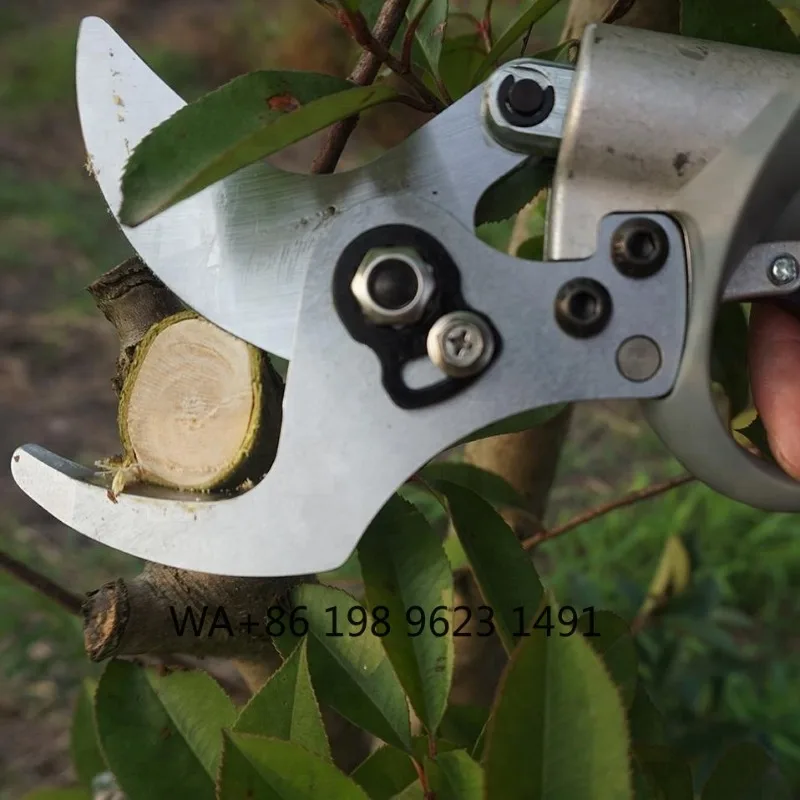 Portable electric pruning shears as essential garden power tool, ergonomic handheld branch cutter. Ideal for shrub trimming