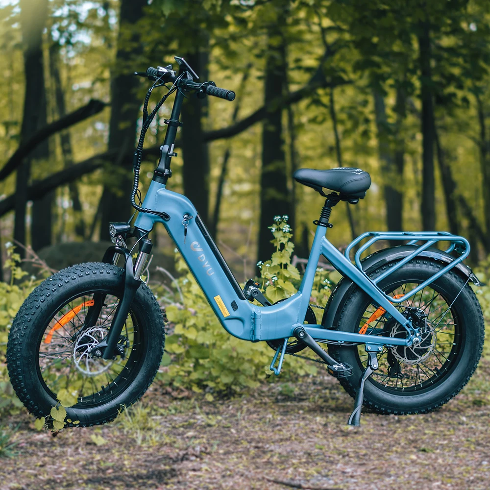 Прямая поставка, EU UK US DYU FF500 ebike 48V 14ah 500W 24-дюймовый Электрический горный велосипед с толстыми шинами и ЖК-экраном