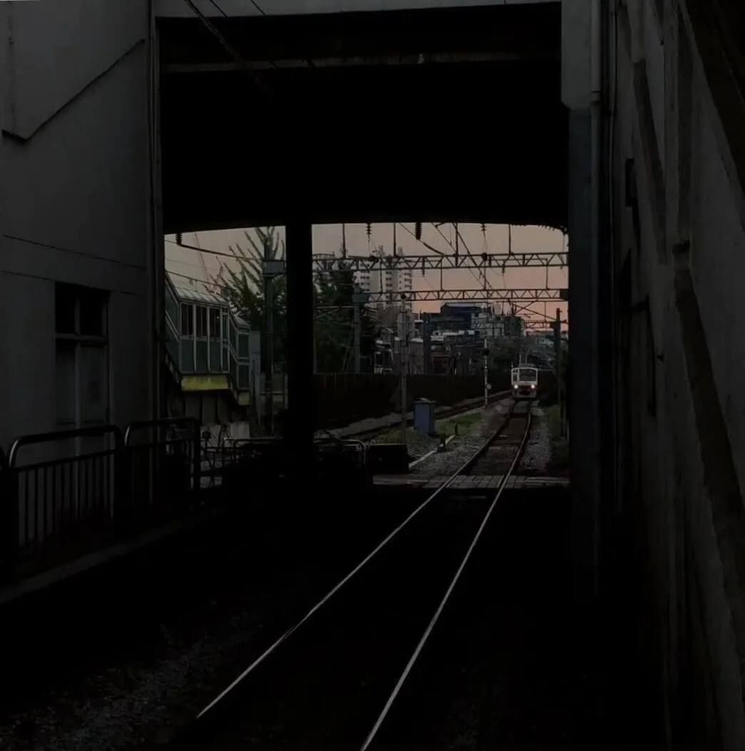 

1PC Aluminum Alloy Horizontal/Vertical 3 Hole Transmitter Neck Strap Hook Balancer for Futaba FrSky Jumper RadioMaster