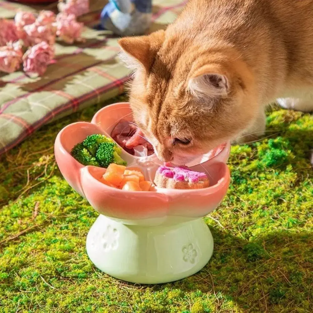 

High Foot Slow Feeder Cat Bowl Flower Shape 15 Degree Tilted Raised Cat Feeder Anti Vomit Slow Down Eating Speed