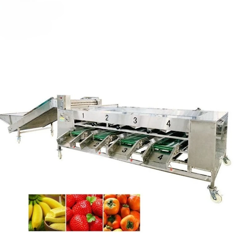Automatic Orange Potato Tomato Sorting Machine Fruit Pear Bluecherry Grader Classifier 304 Stainless Steel 2t/h High