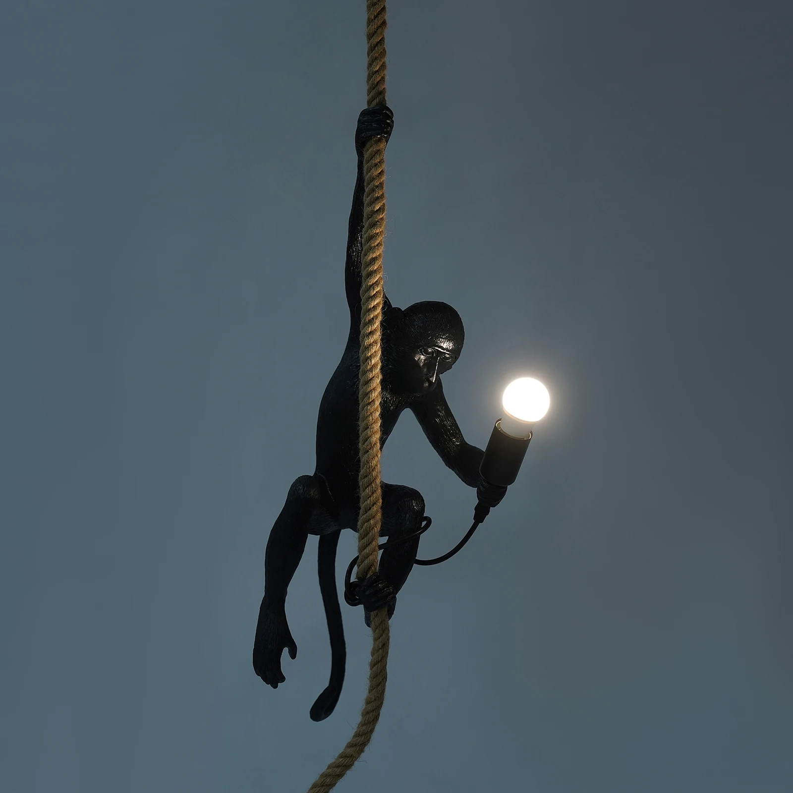 Lampu gantung Monyet Hitam (tanpa bohlam) E26 * 1-lampu dekorasi rumah standar US, desain sederhana mode, Universal untuk tamu