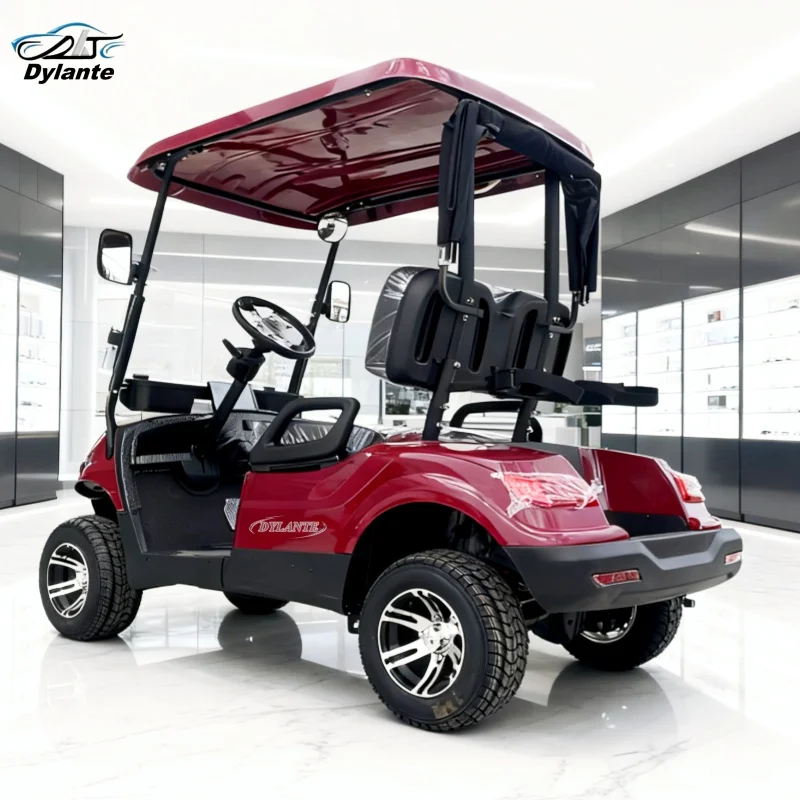 

Заводская 2-местная электрическая тележка для гольфа с высокоэффективным двигателем переменного тока 48 В, литиевая батарея дальнего действия, вездеход на 120 Ач