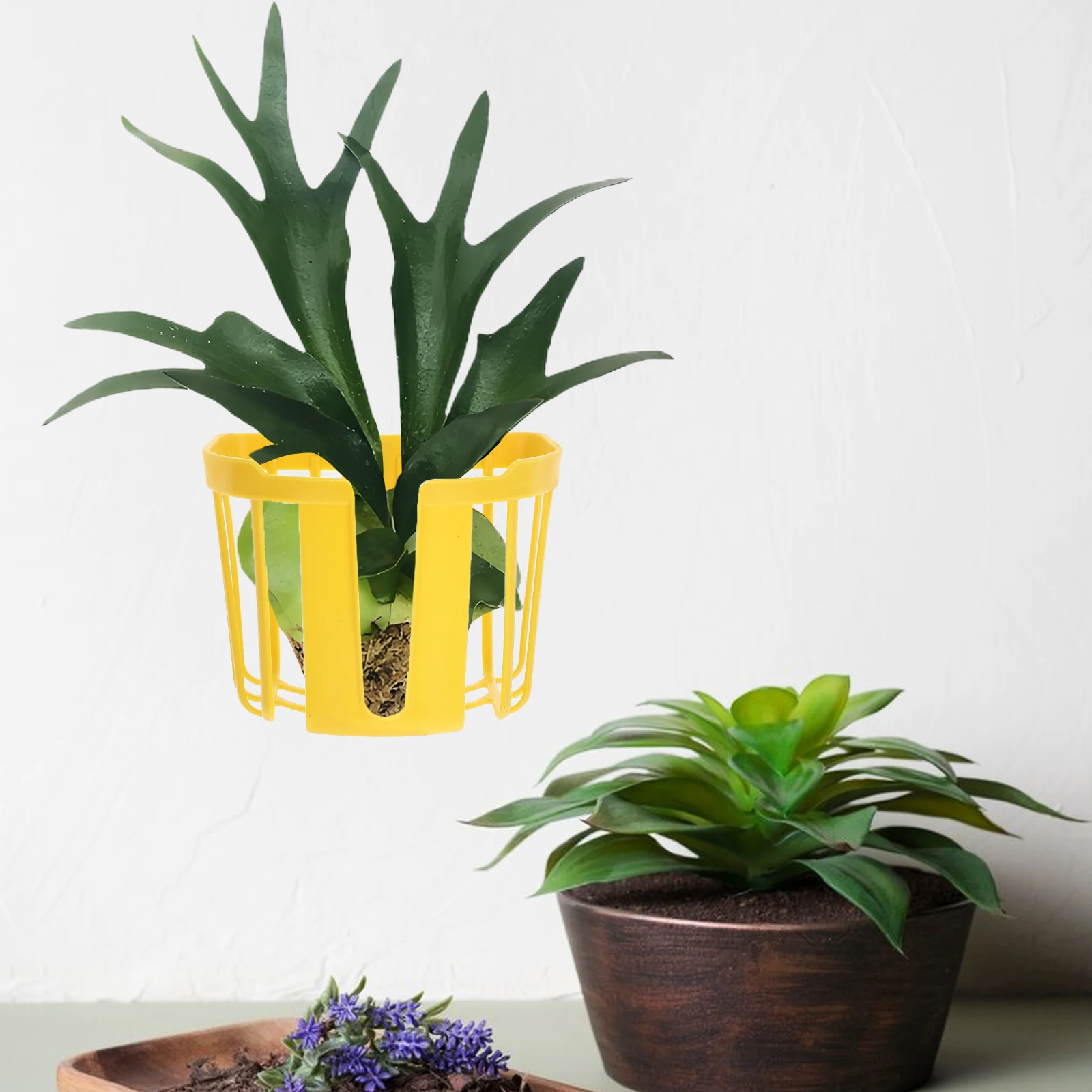 8 шт., корзина для посадки папоротника Staghorn, настенный горшок для орхидей, компактный пластиковый цветочный горшок, садовые перила, кашпо для помещения