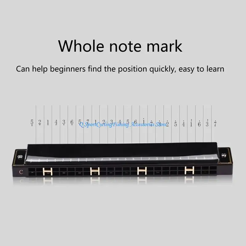 24-Hole Tremolo Harmonica Performance Competition Mouth Organ with Hard for Case, for Key of C for Beginners and Adults
