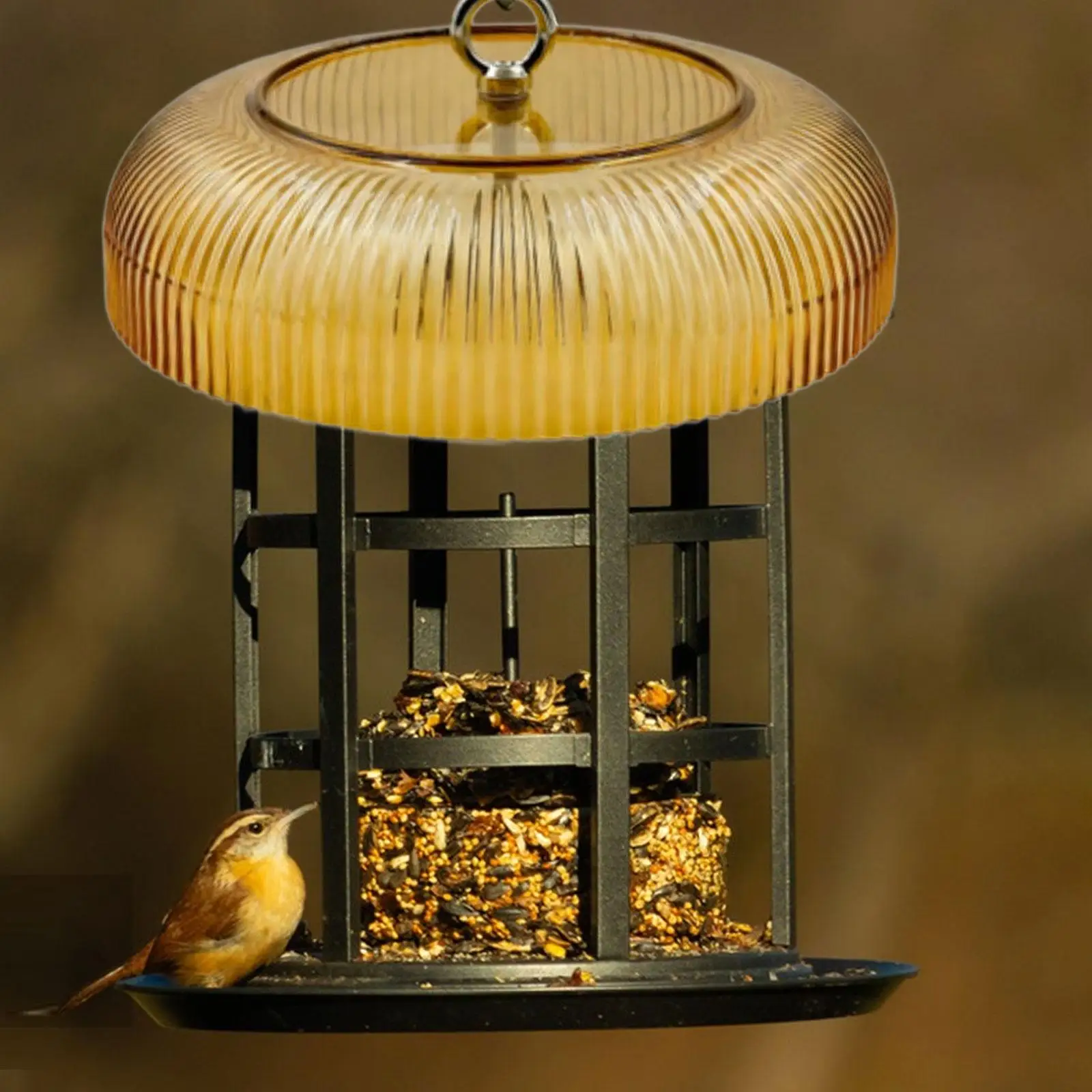 Bird Feeder Baffle Rainproof Cover Outdoor Cage Protector for Garden Patio Easy Clean Squirrel Proof