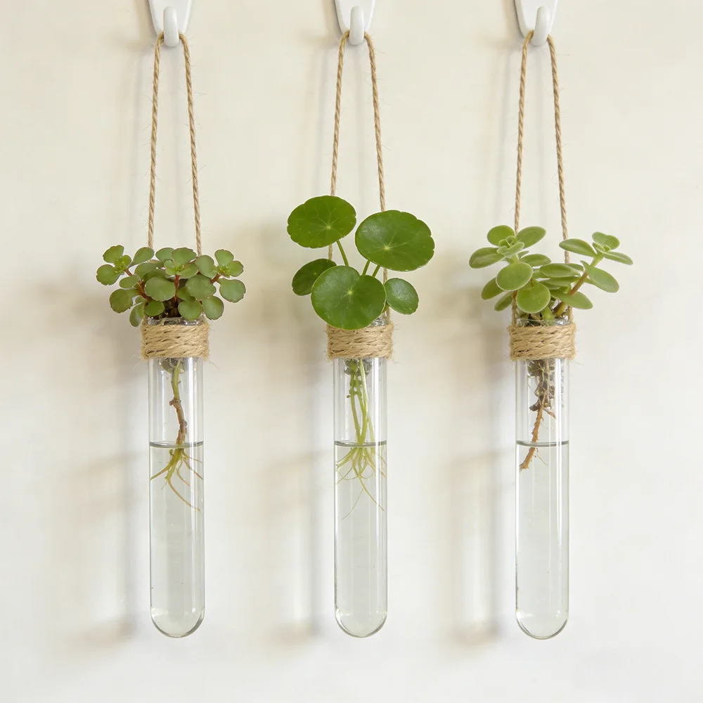 Hydroponic Flower Vase Wall-Mounted Test-Tube Vase Hydroponics Home Office Decor Air Plant Holder Home Garden Decor