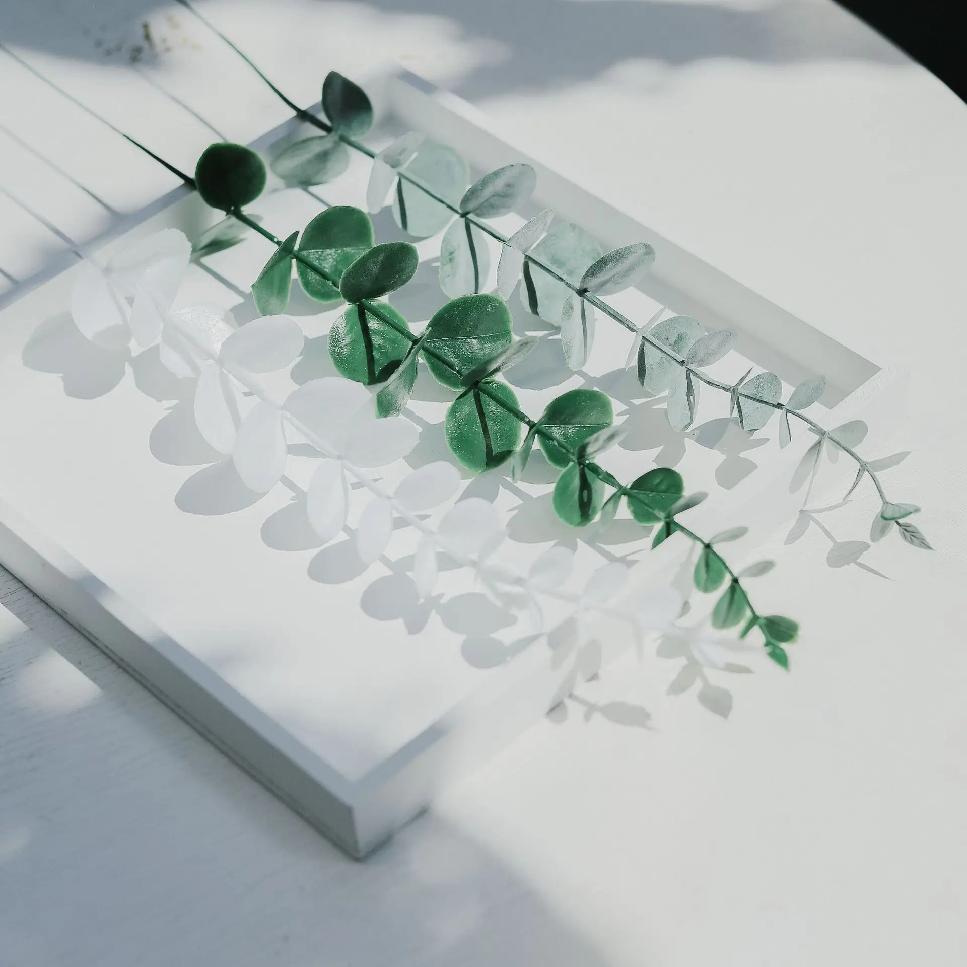 Ins simulazione eucalipto puntelli foto ornamenti ornamenti posa cibo fotografia tiro sfondo decorazione panno