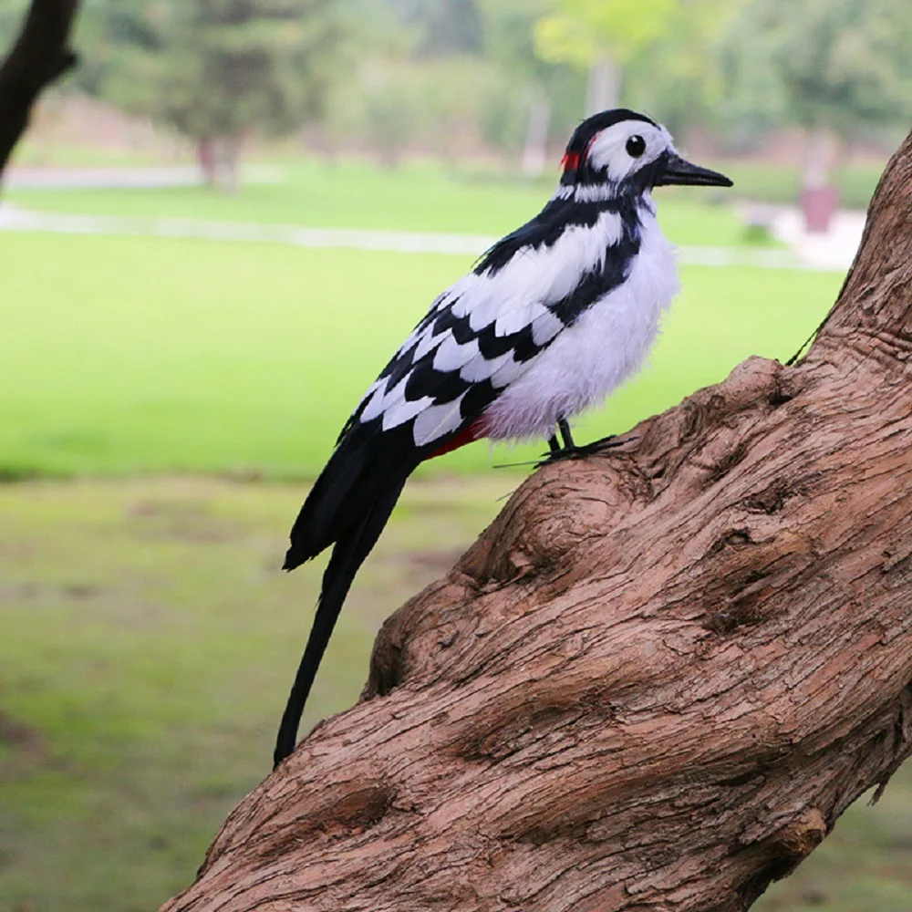 white simulation woodpecker model foam&feather black back bird toy gift about 32cm c2759