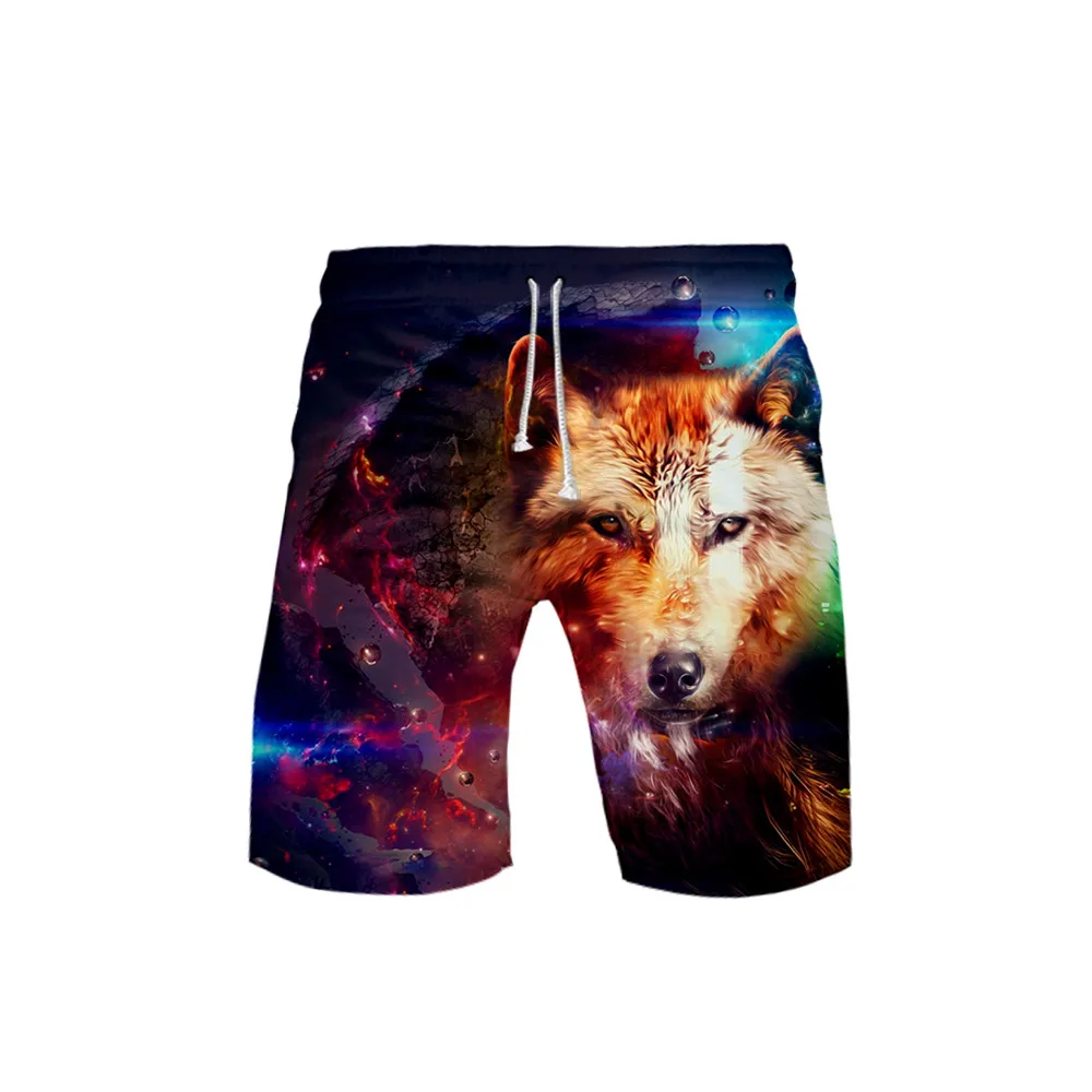 Bañador con estampado 3D de lobo para hombre, pantalones cortos de playa, clásicos, divertidos, deportivos, a la moda, Verano