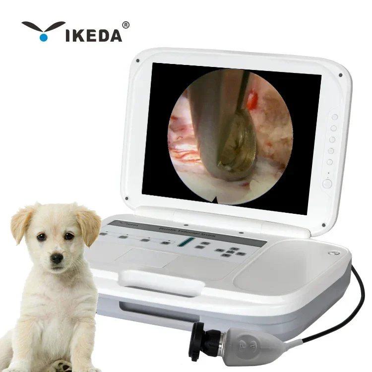 HD 1080P Veterinary Endoscope