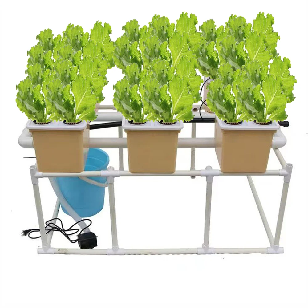 2025 أنظمة الزراعة المائية من الصين لمجموعة دلو الزراعة المائية المباشرة التجارية لزراعة الخضروات