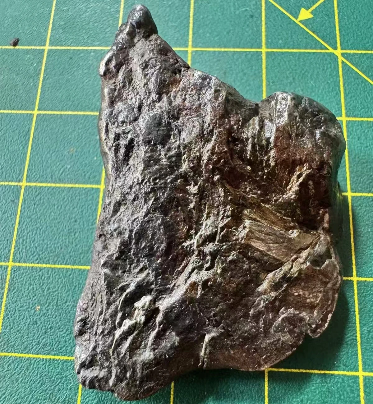 1Pcs Altay Iron Meteorite Rough Stone Natural Meteorite Ornament Decoration Collection Specimen