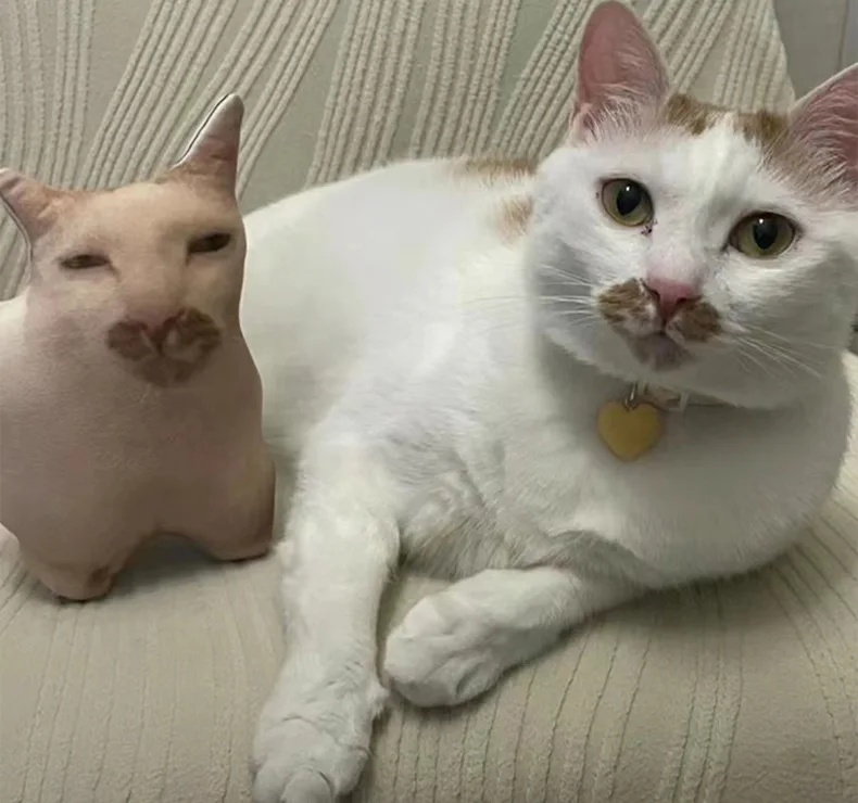 تخصيص الصورة DIY وسادة القط الكلب وسادة الحيوانات الأليفة الحيوان القط أريكة سيارة الديكور في الهواء الطلق وسادة عيد الحب مريحة #2