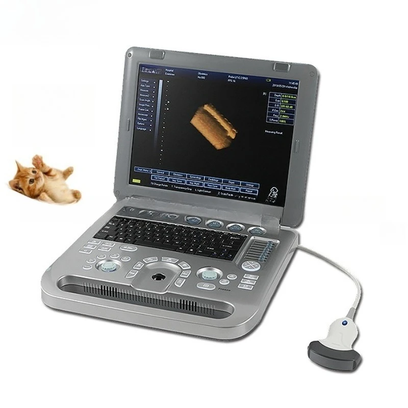 

Portable Ultrasound Diagnostic Instrument Veterinary Full Digital B-Ultrasound Machine Color Ultrasound Imager