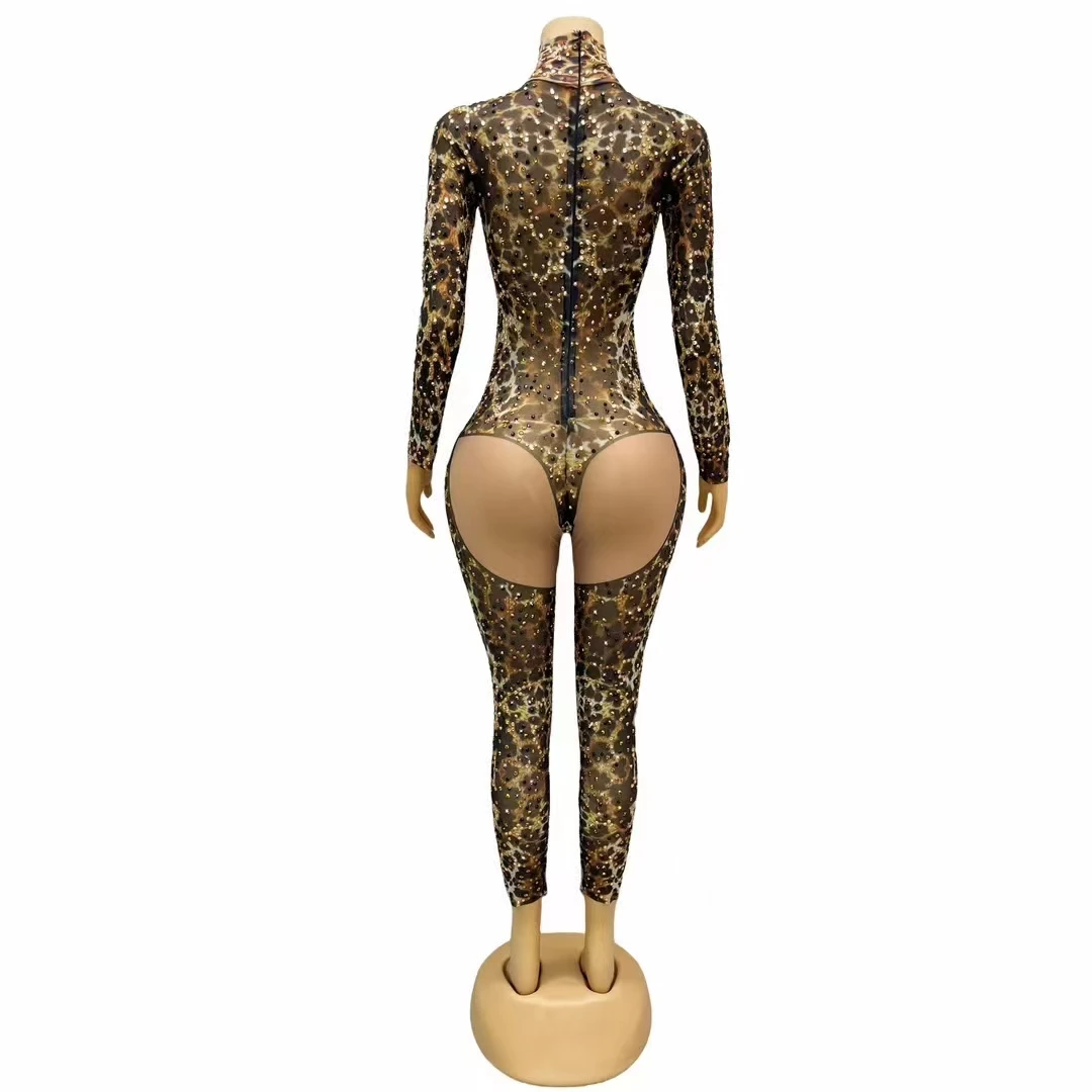 Vrouwen Strass Luipaard Strakke Jumpsuit Bar Elastische Lange Mouw Gedrukt Turnpakje Zanger Danser Stage Performance Danskostuum