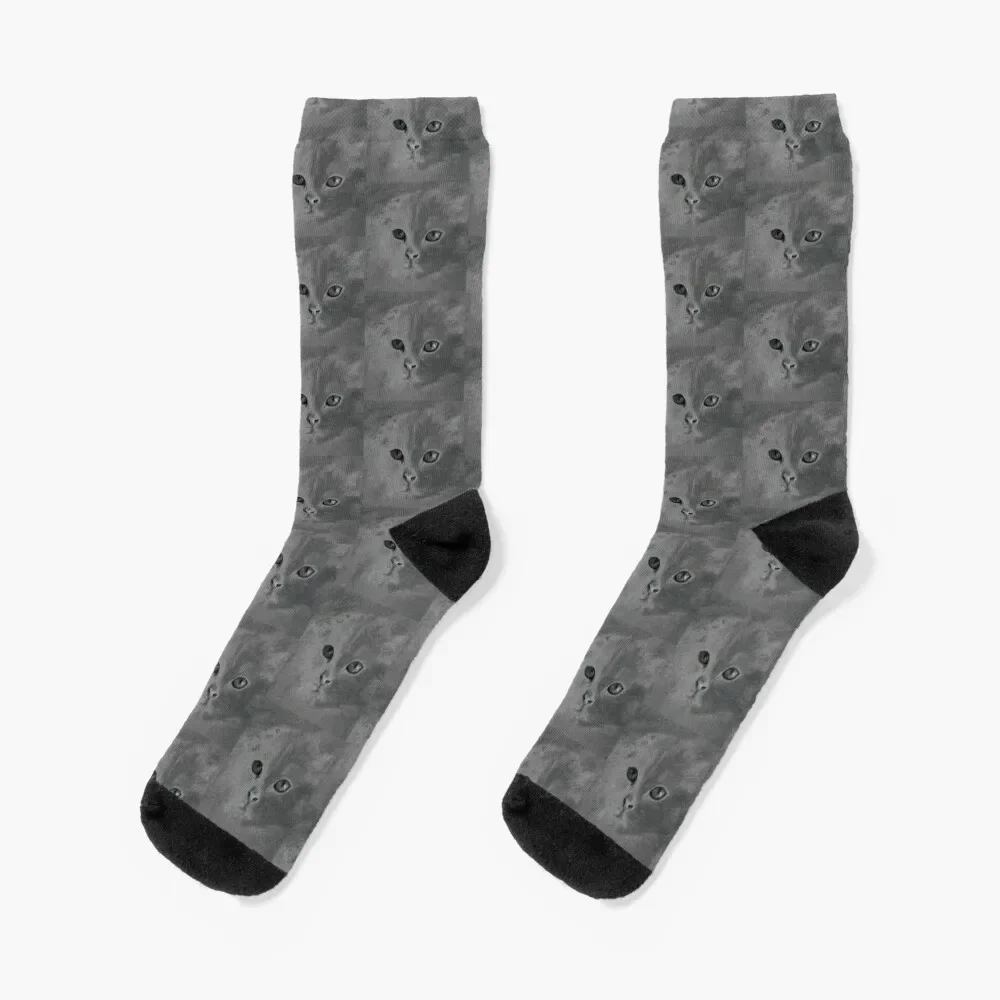 

Grey cat Socks Stockings man summer winter aesthetic Girl'S Socks Men's